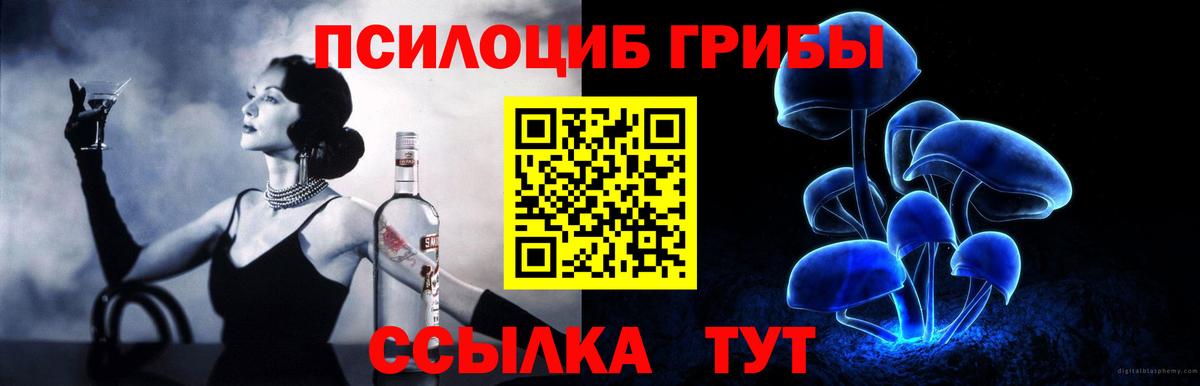 Моздок  Псилоцибиновые грибы ЛСД  Вход с VPN 